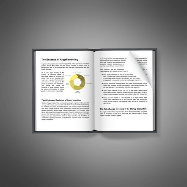 Angel Investing - Ebook (demo) - Image 3